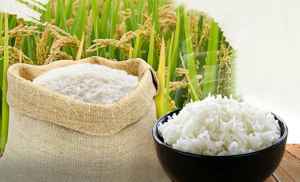 Chuyển mẫu gạo đi Indonesia