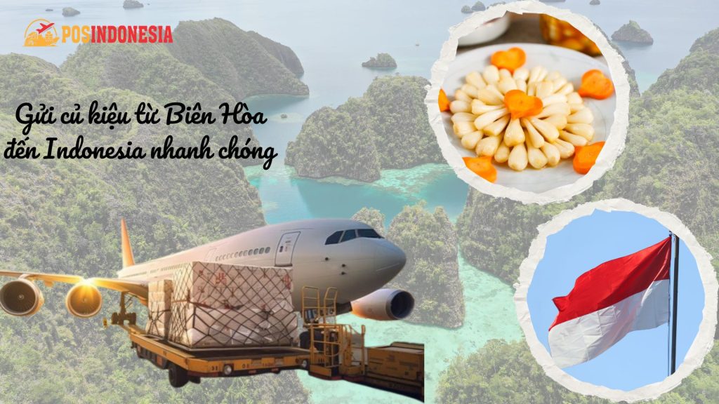 Gửi củ kiệu từ Biên Hòa đến Indonesia nhanh chóng