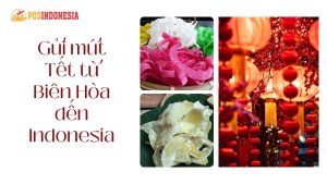 Gửi mứt Tết từ Biên Hòa đến Indonesia